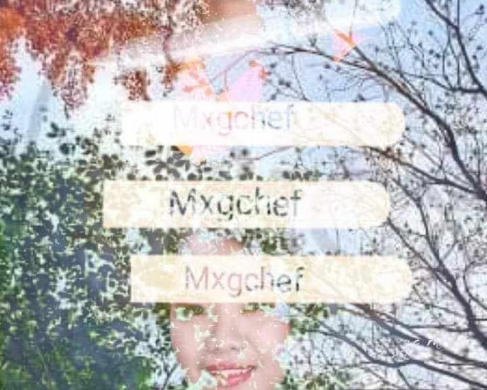 GHICABALZA(MXGCHEF)
