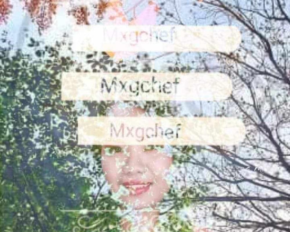 GHICABALZA(MXGCHEF)