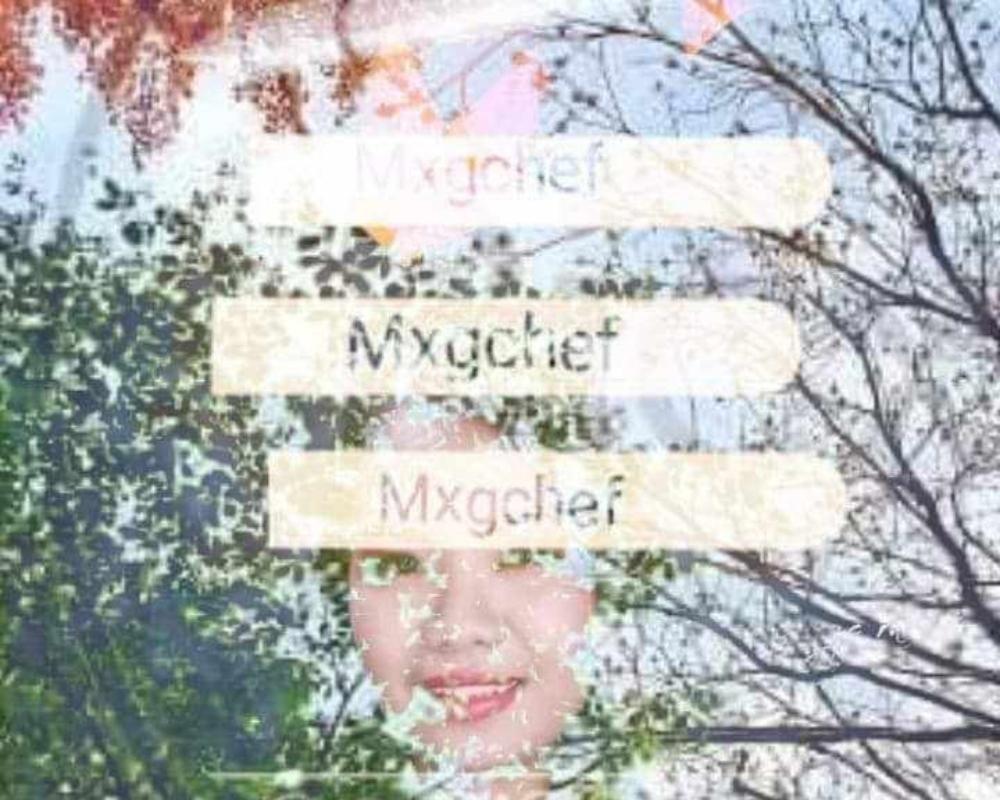GHICABALZA(MXGCHEF)