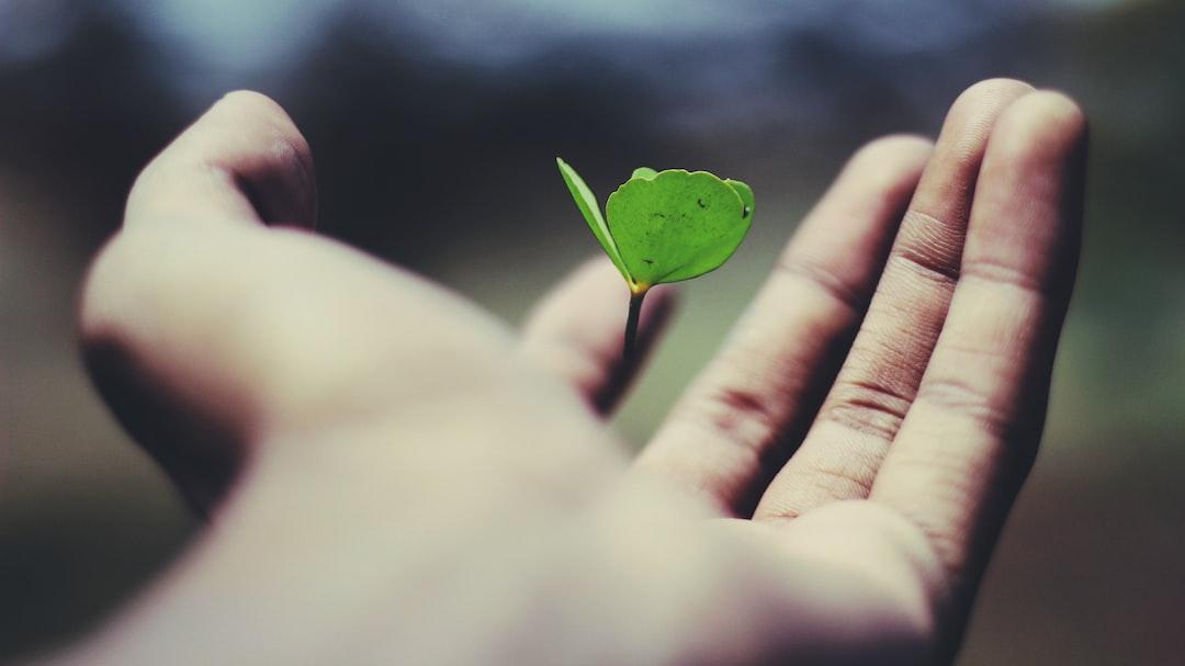 Discomfort as a Catalyst for Personal Growth