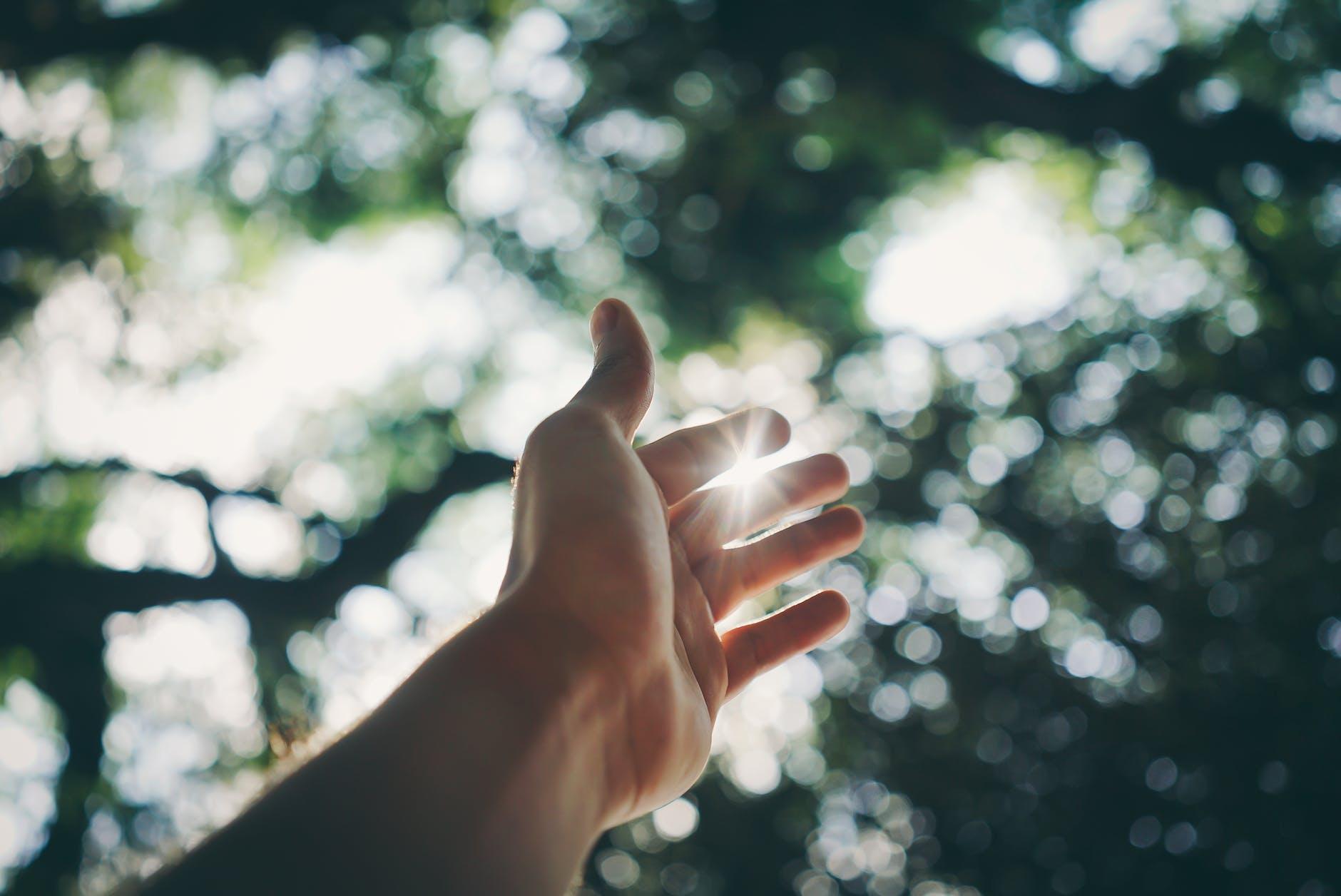 Extend your branches and grow towards the light