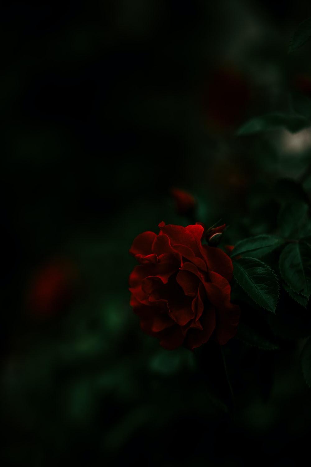 UNKNOWN