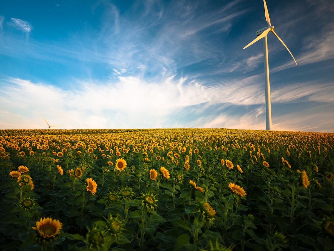 The Healing Power of Nature