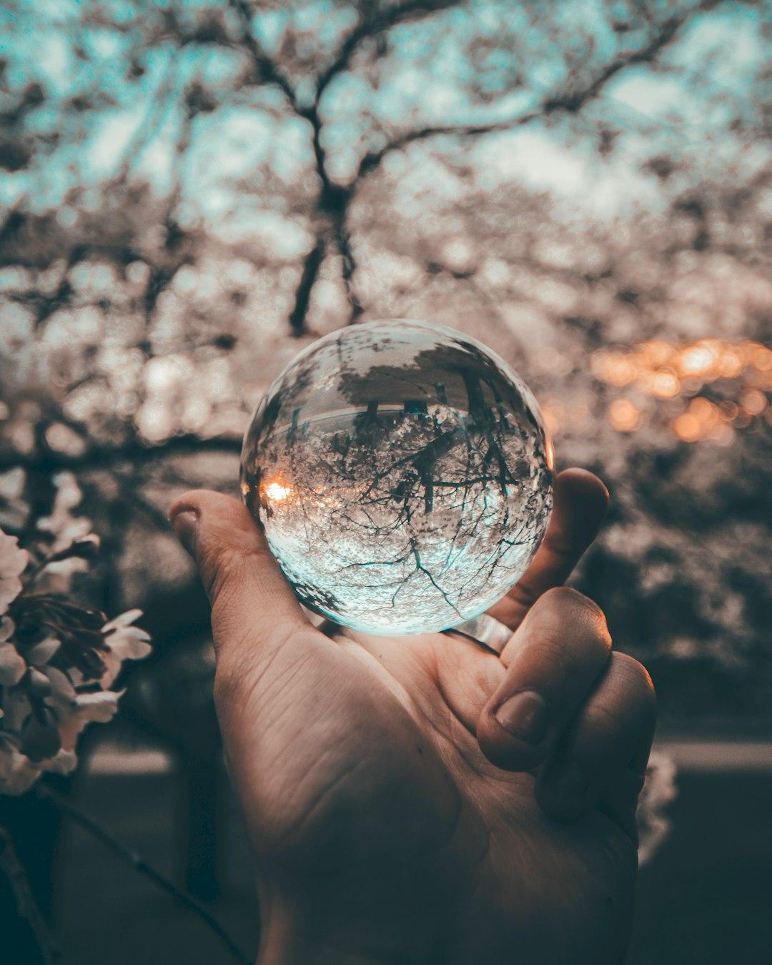 5. Moments of Serenity and Inner Reflection