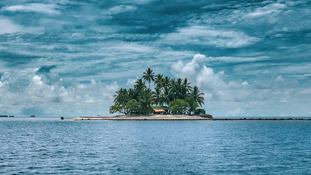 The Island Model (Vera F. Birkenbihl)