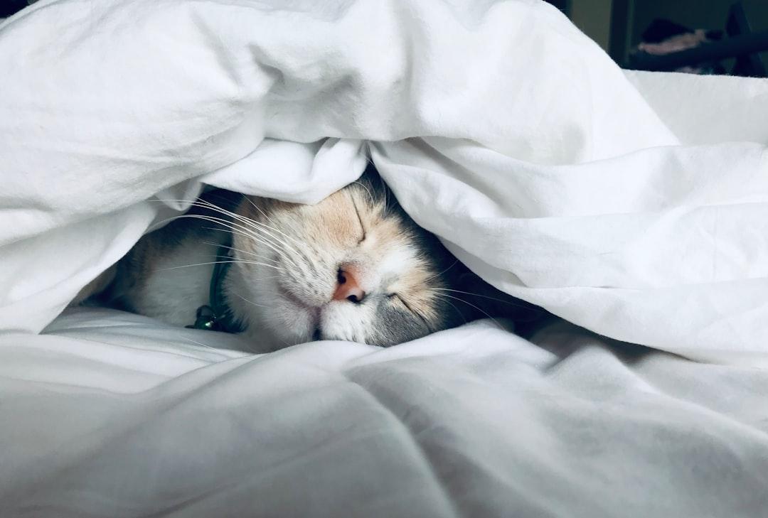 Sleep Is Vital