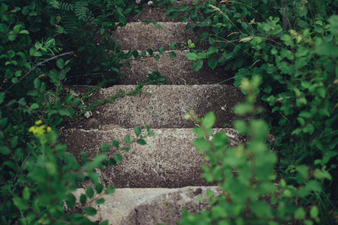 An Eight-Step Plan