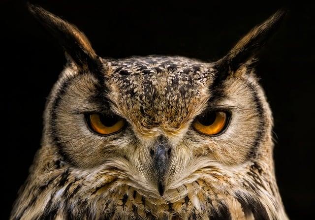 You are in danger of living a life so comfortable and soft that you will die without ever realizing your true potential.