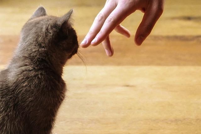 Approaching The Other Person