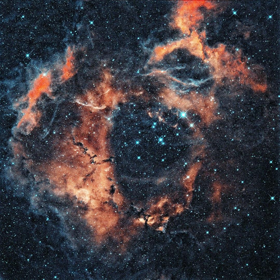 The Origins of Everything
