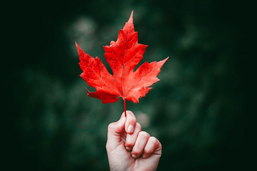 MAPLE Framework