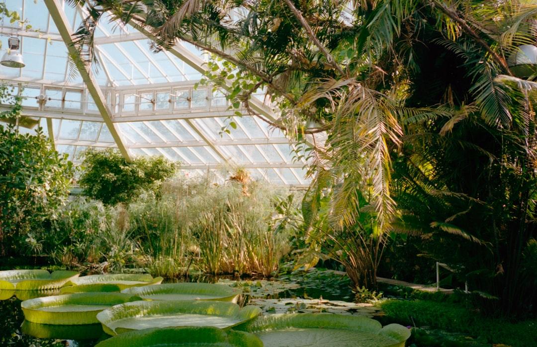 The Garden Analogy