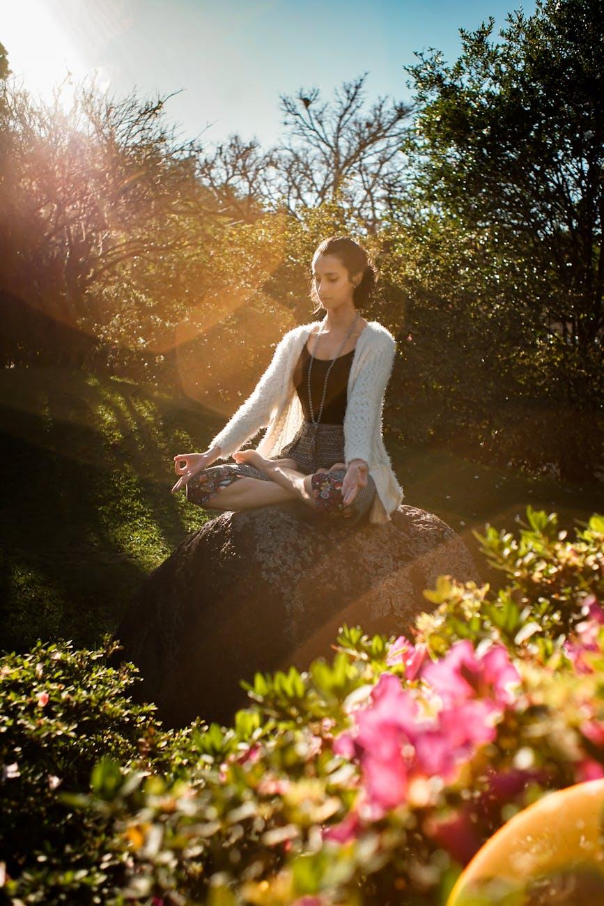 3. Meditate