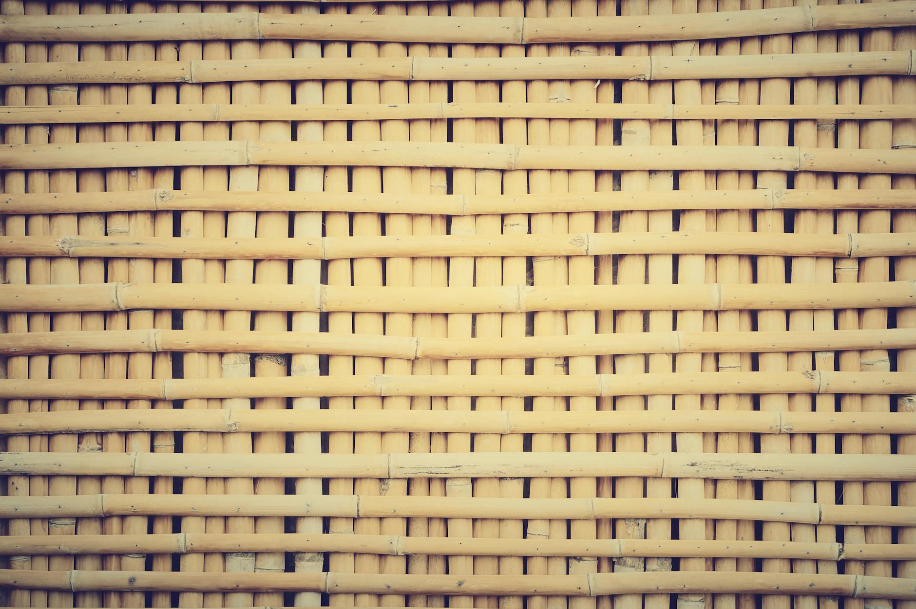 Building a Strong Startup Culture