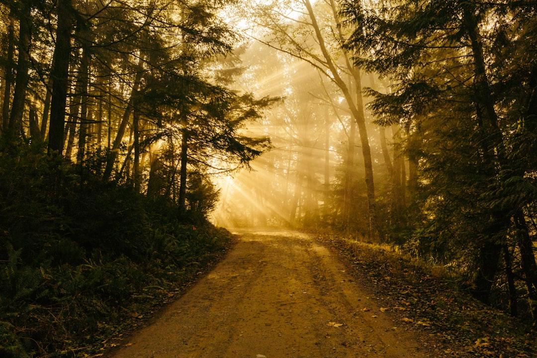 A Path Misunderstood