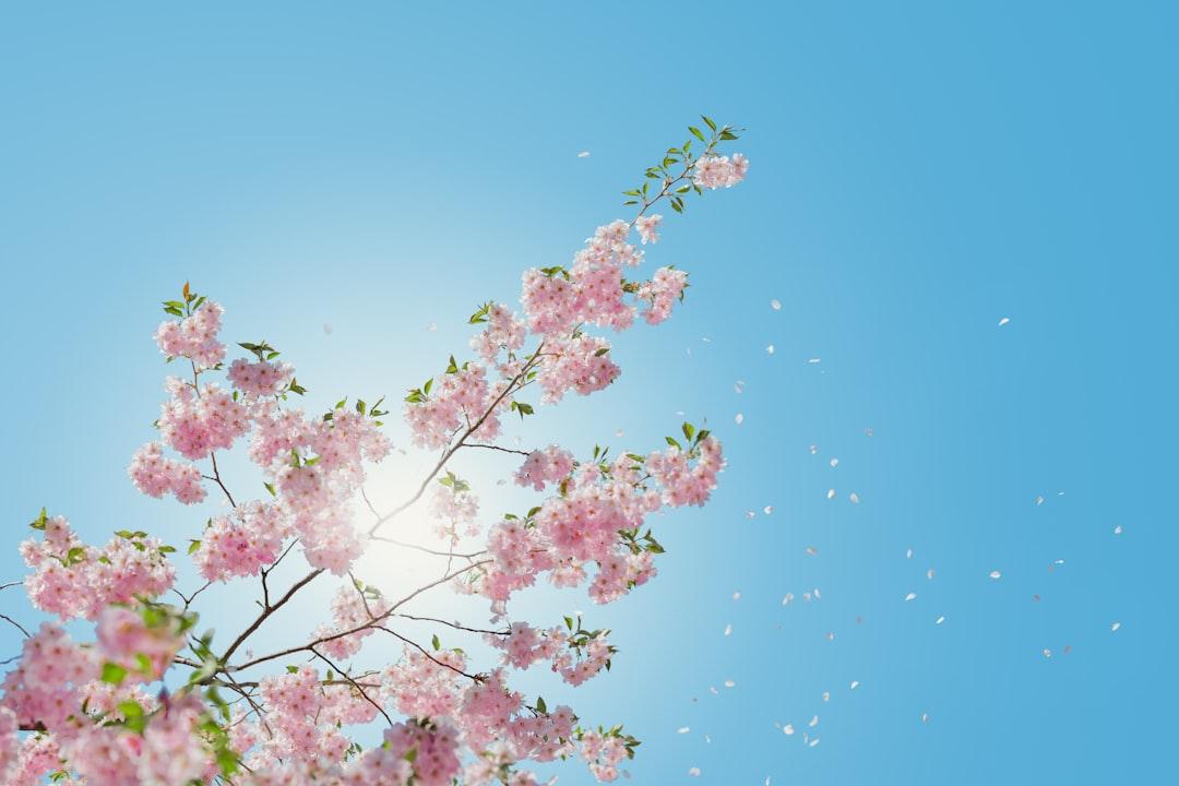 Nature as a Teacher