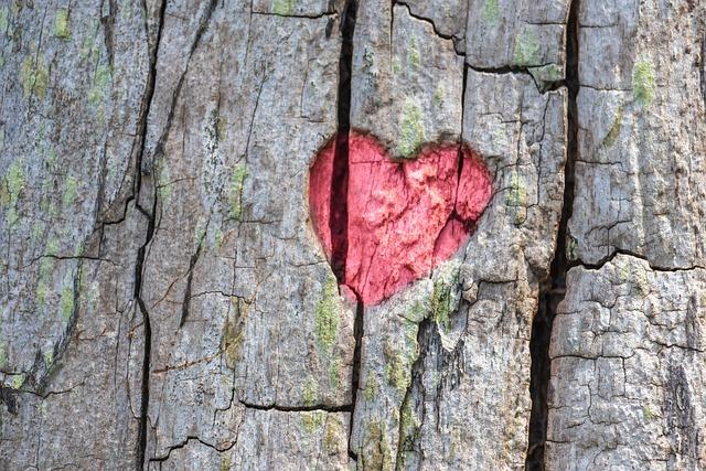 Listen to Your Heart