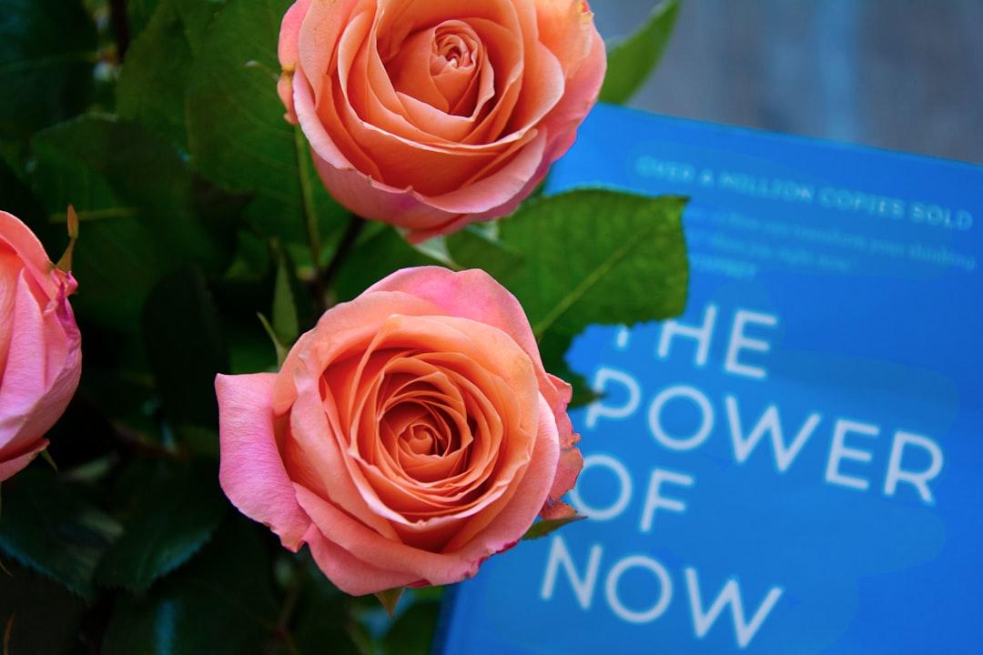 The power Of Now