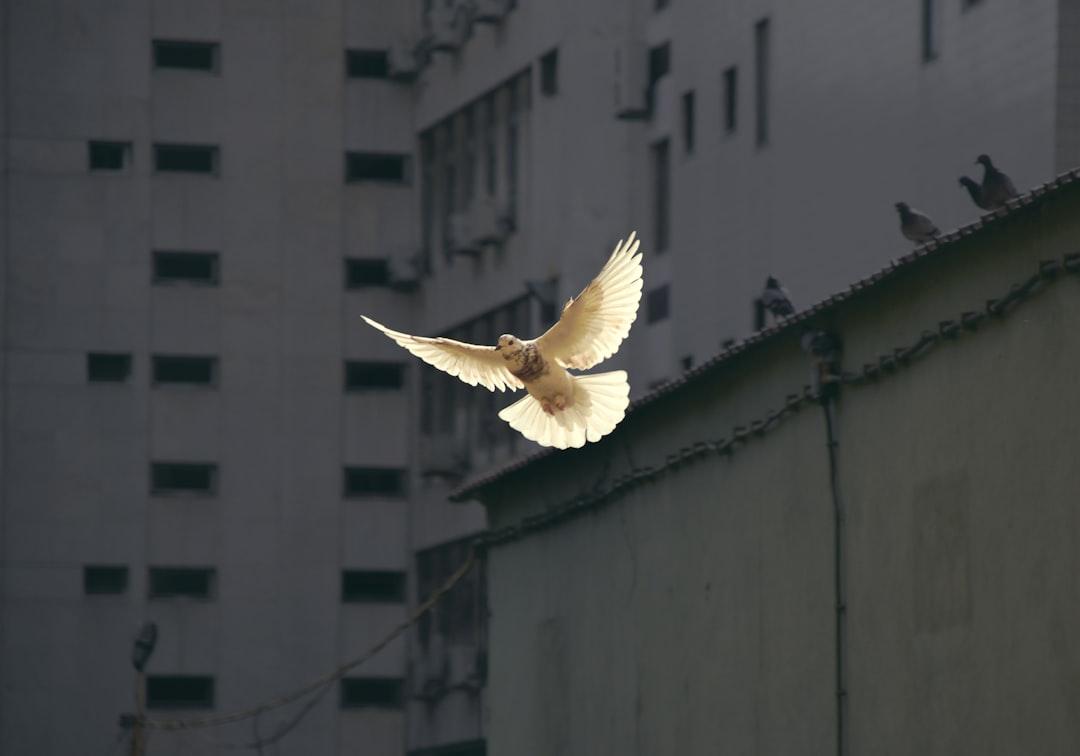 Yielding to the Spirit