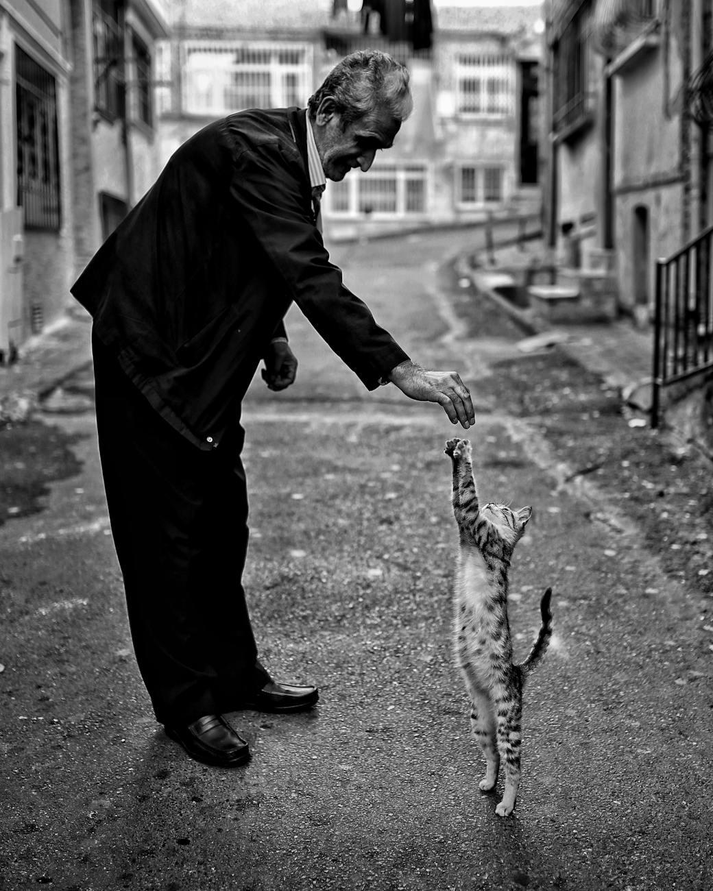 8. Manipulation Happens Everywhere