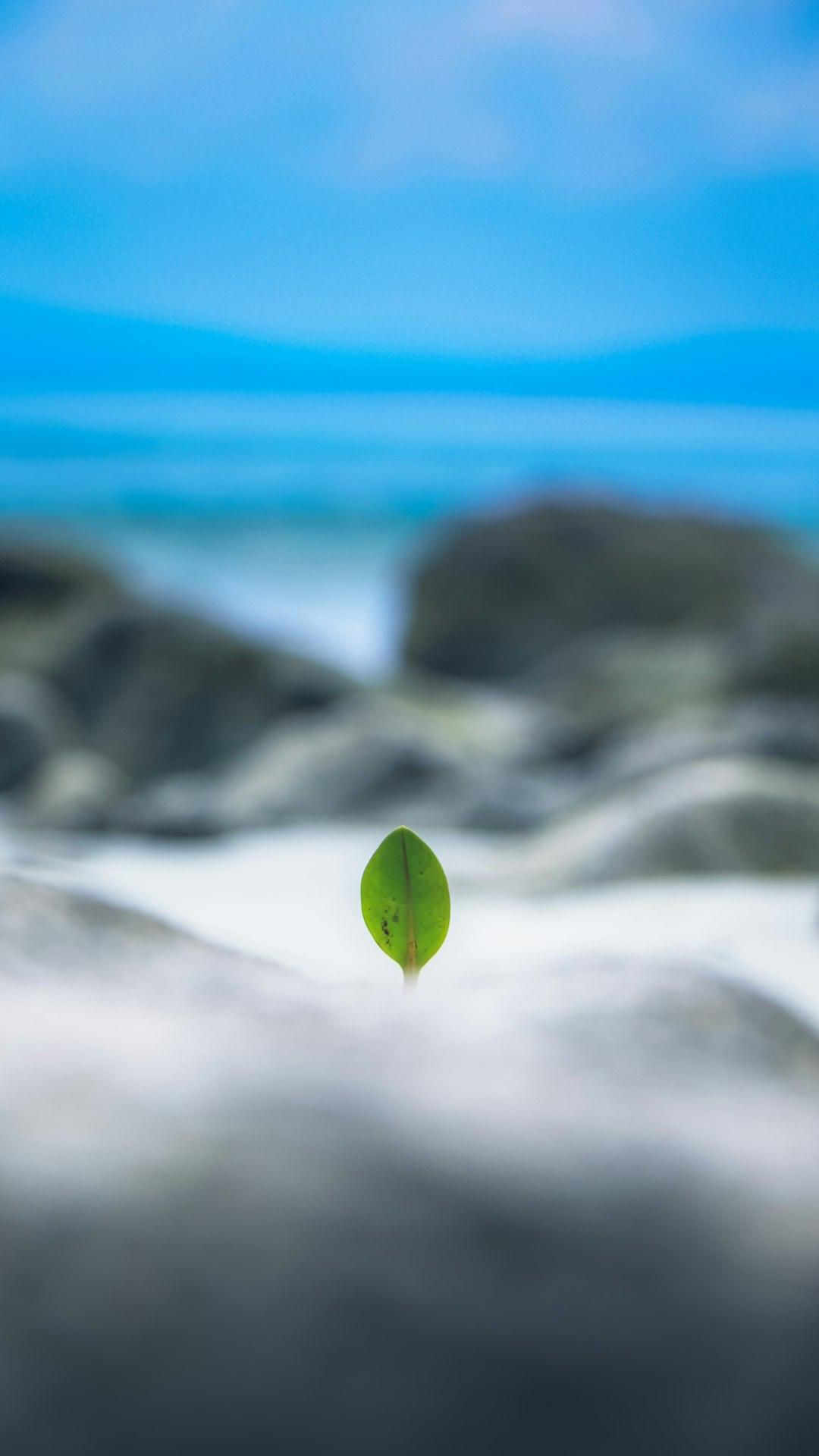 1. Kaizen – Tiny Steps, Massive Change