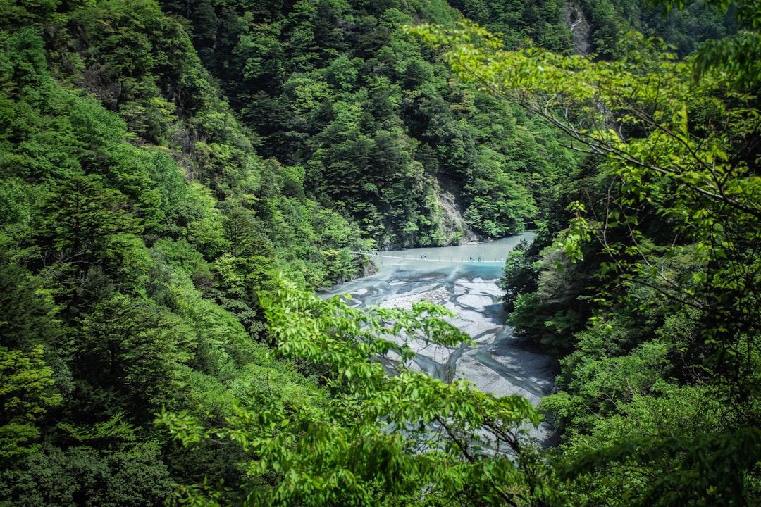 5. Shinrin-Yoku – Nature is the Cure