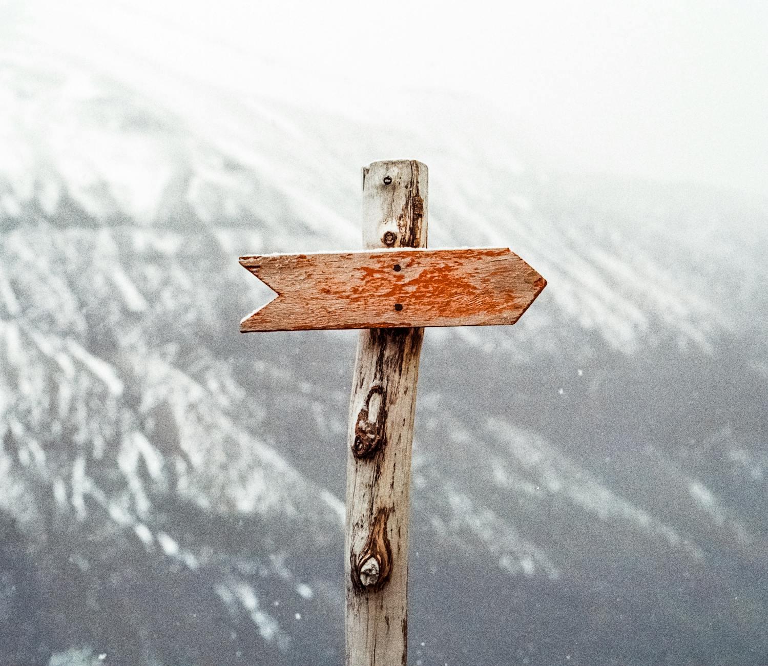 Align with the Customer’s Strategic Priorities