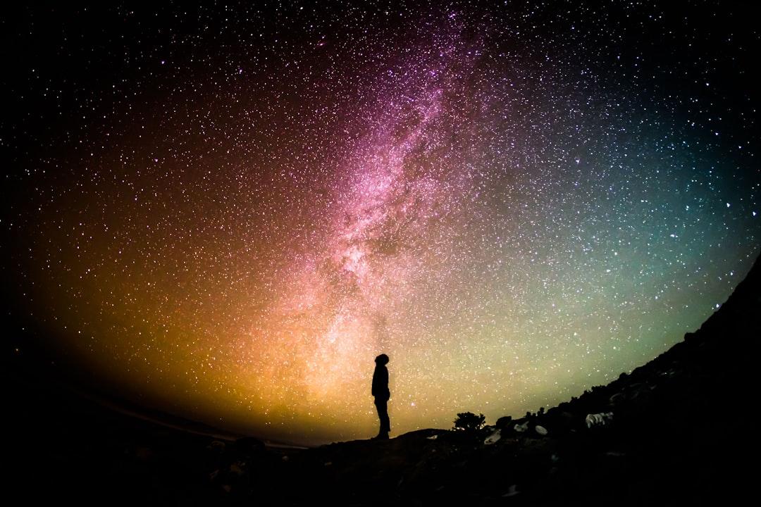Umwelt: Every Creature Has Its Own Sensory Universe