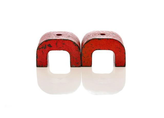 Magnetic and Electric Senses Offer Supernatural Navigation