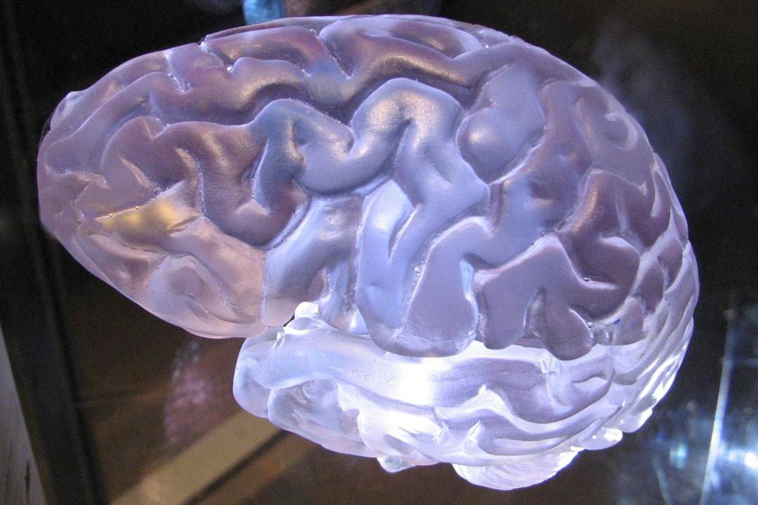 Meet ICOR®: One Brain, Two Equal Parts