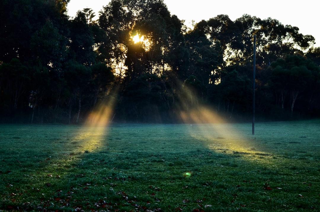 Start Your Day with Light and Movement