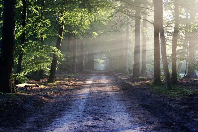 Work With Your Nature, Not Against It