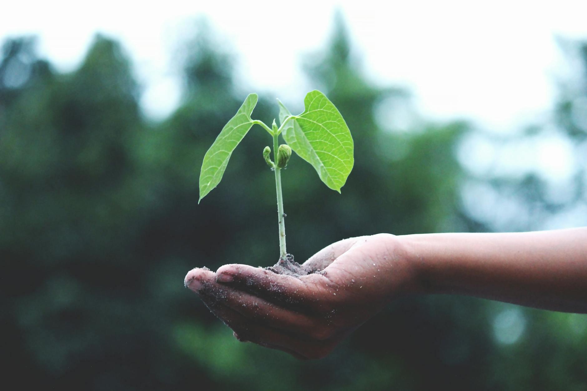 Grow – Reshape Your Mind