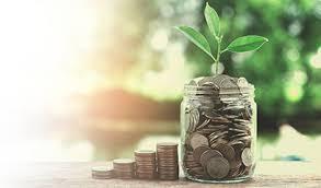 Apply minimalism to your finances