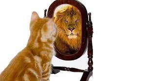 Your Self-Perception Is Extremely Relevant