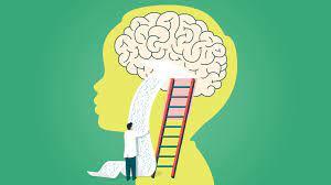 Brain Growth