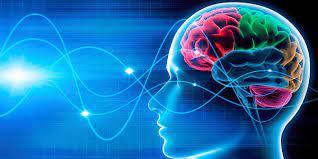 Neuroplasticity